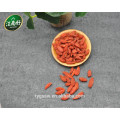 Goji berry fruits goji berries chinesa para venda goji berry plants para venda com jiangnanhao